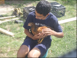 young boy sitting holding a pet chicken