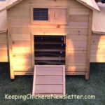 newly built chicken coop