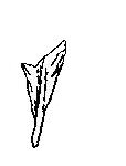 half of the feather has broken off