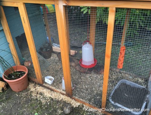 Coping with the Bird Flu Prevention Measures