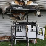 burnt chicken coop