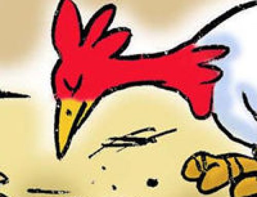 Chick School (Cartoon) by Jonny Hawkins