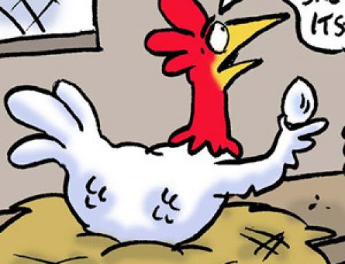 Hen Earnings (Cartoon) by Jonny Hawkins