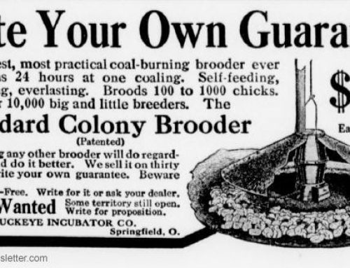 Preparedness For Winter and A Look Back In Time Through Old Poultry Ads