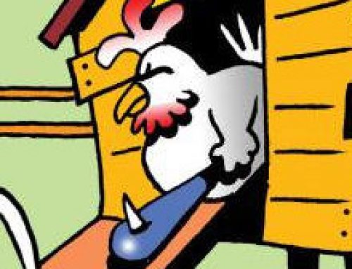 Attilla the Hen (Cartoon) by Mark Lynch