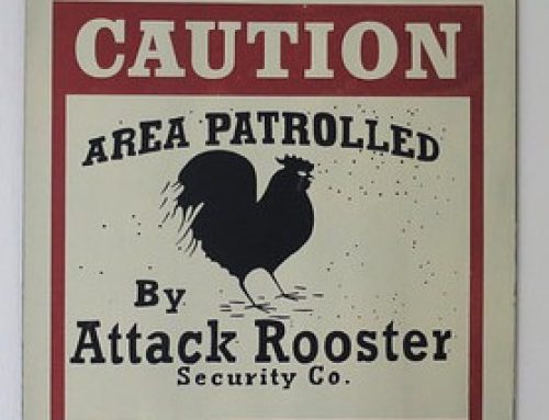 Attack Rooster, Chicken Rescue and Rockacaunas