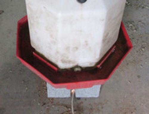 Heated Chicken Water