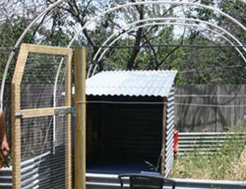 Chooktopia