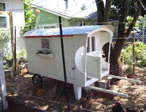 Gypsy Wagon Coop