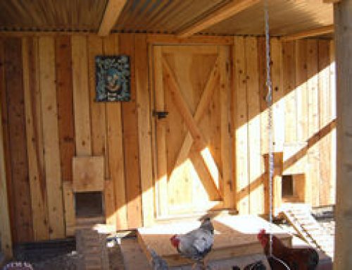 Chicken Coop and Run with Awning